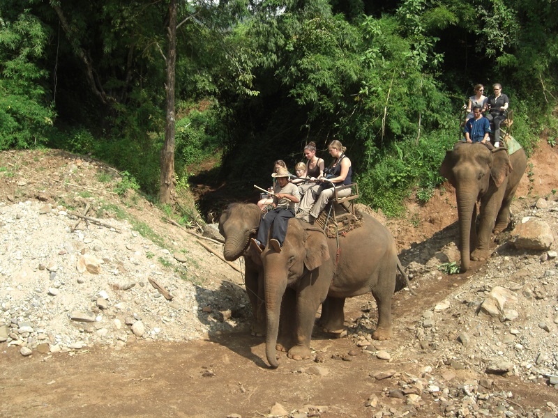 Elephants in Thailand - Trekking