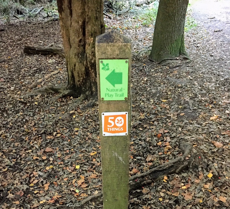 Box Hill Natural Play Trail - markers