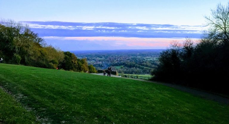 Box Hill Natural Play Trail - field view