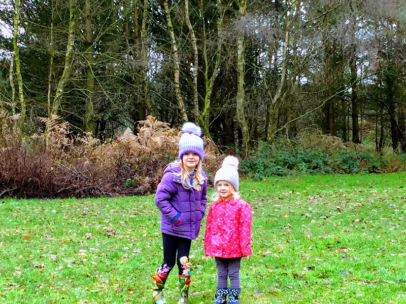 Cannock Chase Forest Walks - Family Fun