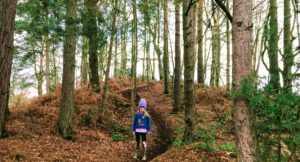Family fun and woodland walks at Cannock Chase Forest – Staffordshire