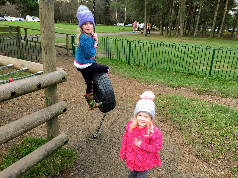 Cannock Chase Forest Walks - Adventure Playground