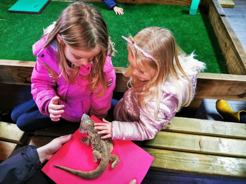 Things to do near Tattershall Lakes - holding a reptile at Tattershall Park Farm