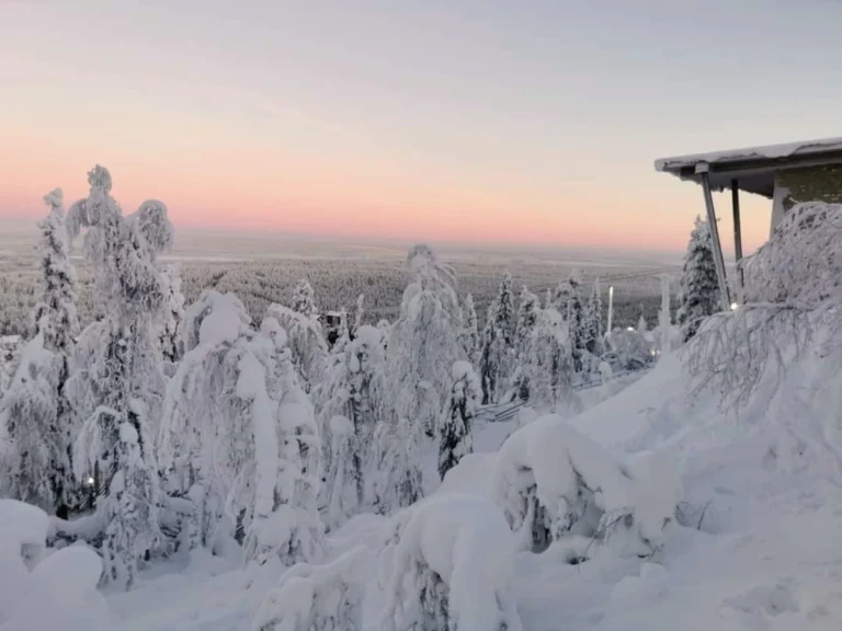 Snow-covered forest at sunrise with a cabin roof visible—Lapland winter scene.
