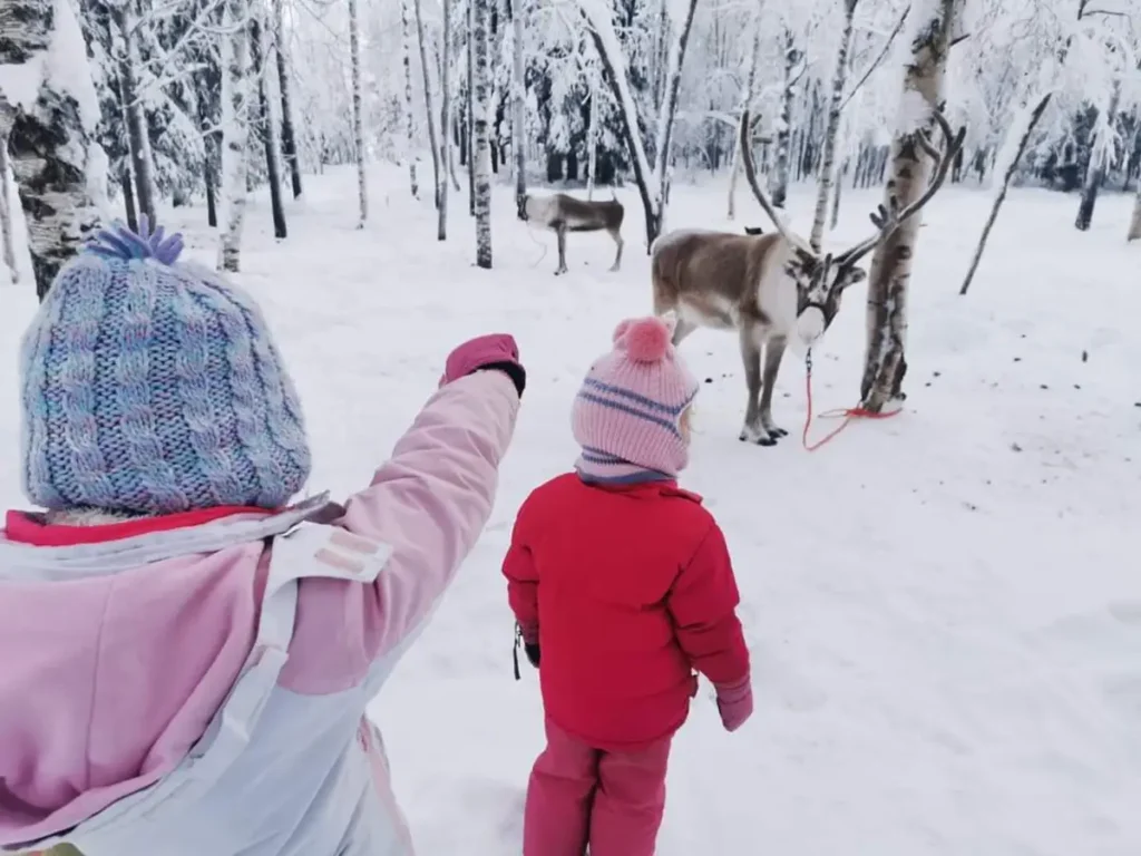 Our two children in winter clothing observing reindeer in a snowy Lapland forest.