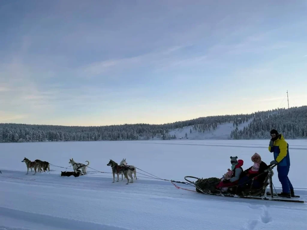 Six huskies pulling a sled with our family through snowy forest terrain in Levi, Lapland.