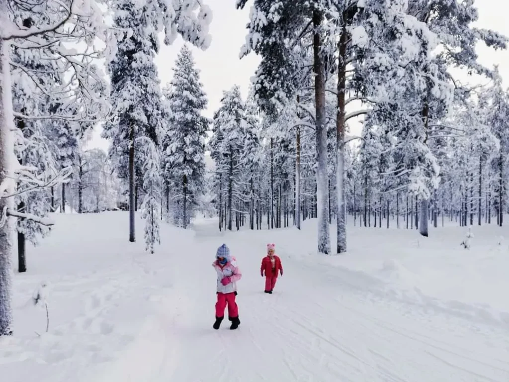 Snow-covered trees and a peaceful forest path at the start of our family’s winter adventure in Lapland.